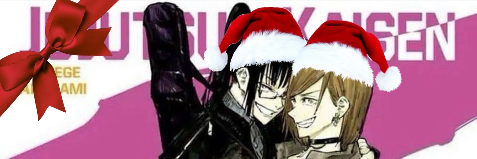 feña banner