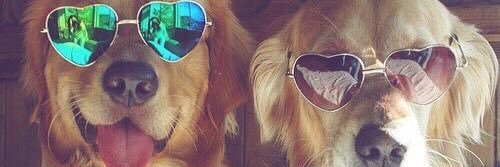 KatelynColburn's profile banner image