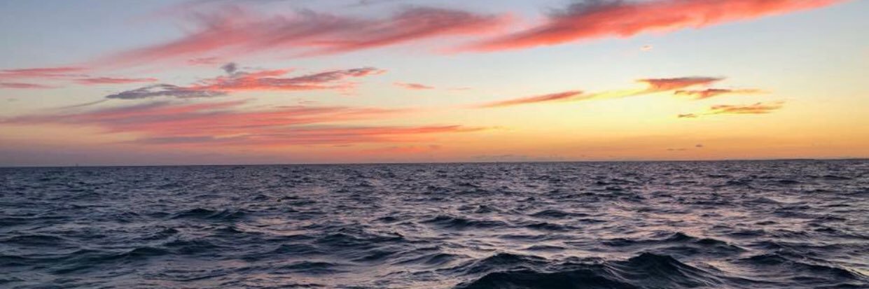 Vanebenedit's profile banner image