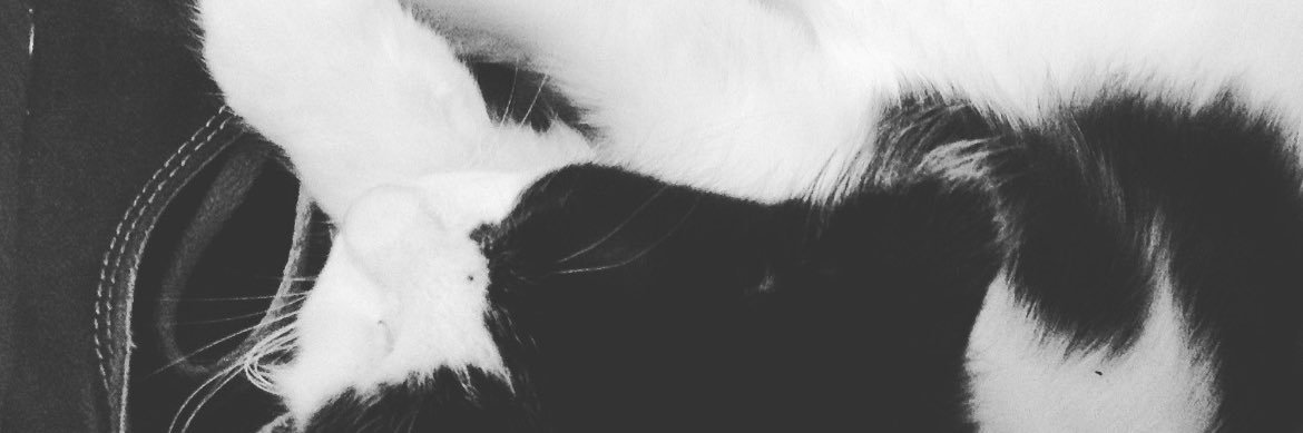 Aly615's profile banner image