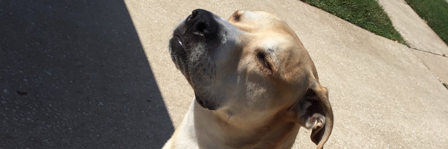 TylerP_123's profile banner image