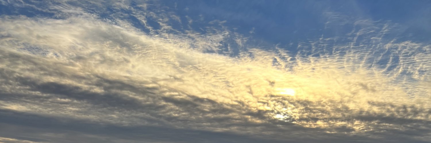 ObvNHoran's profile banner image
