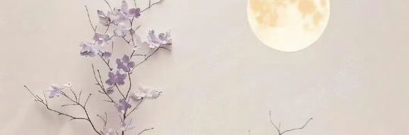 Elham_M1983's profile banner image
