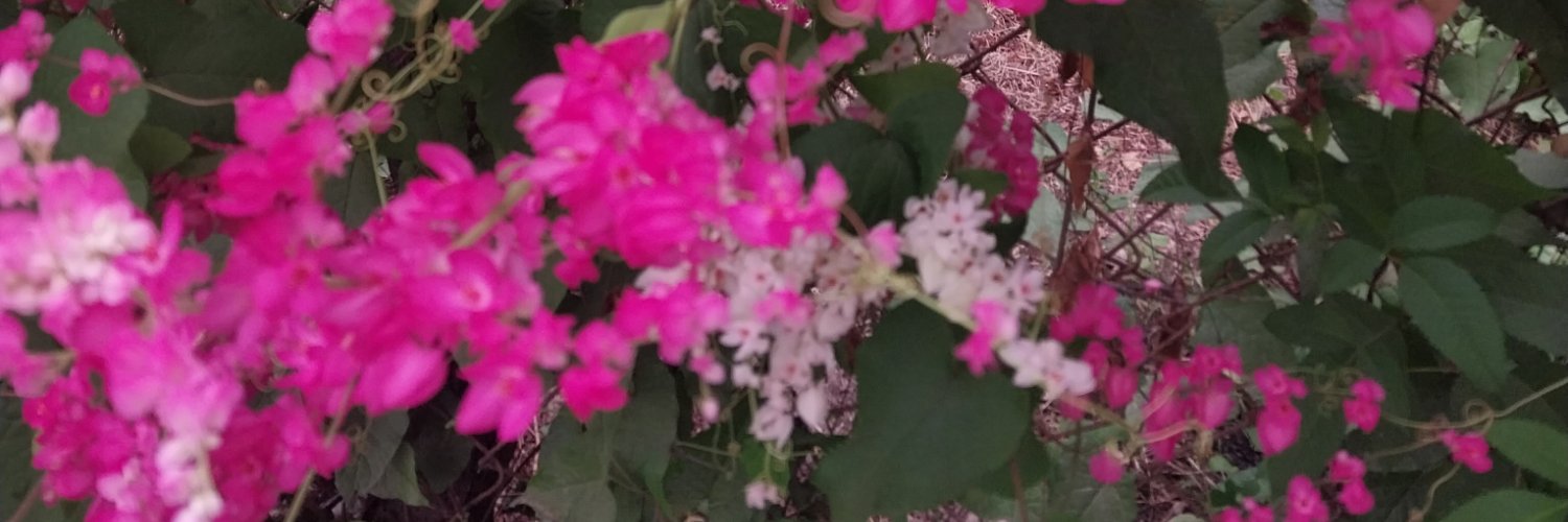 Aslyjessenih's profile banner image