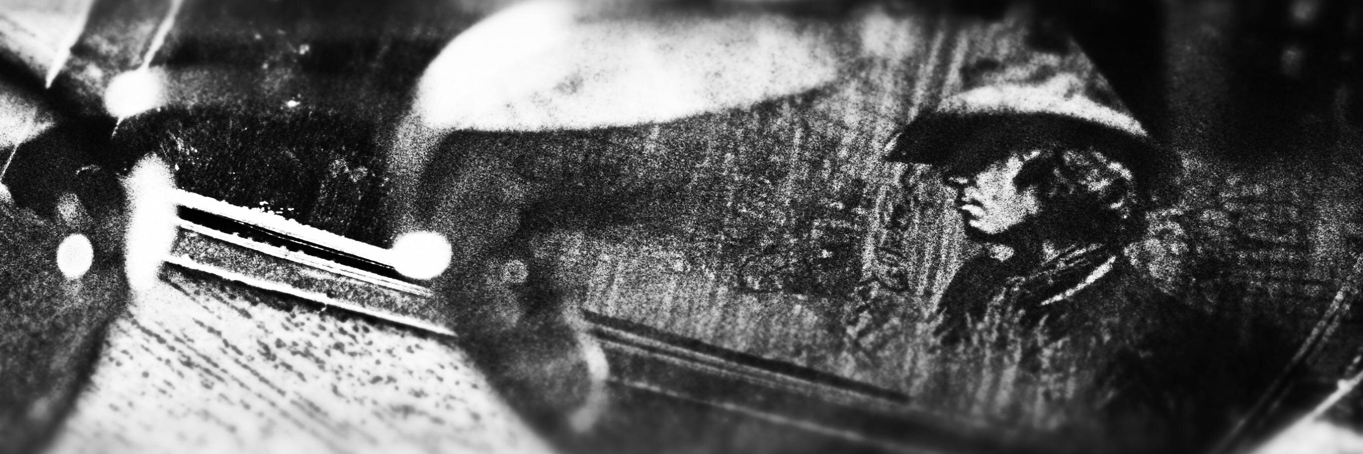 Laniusenator's profile banner image