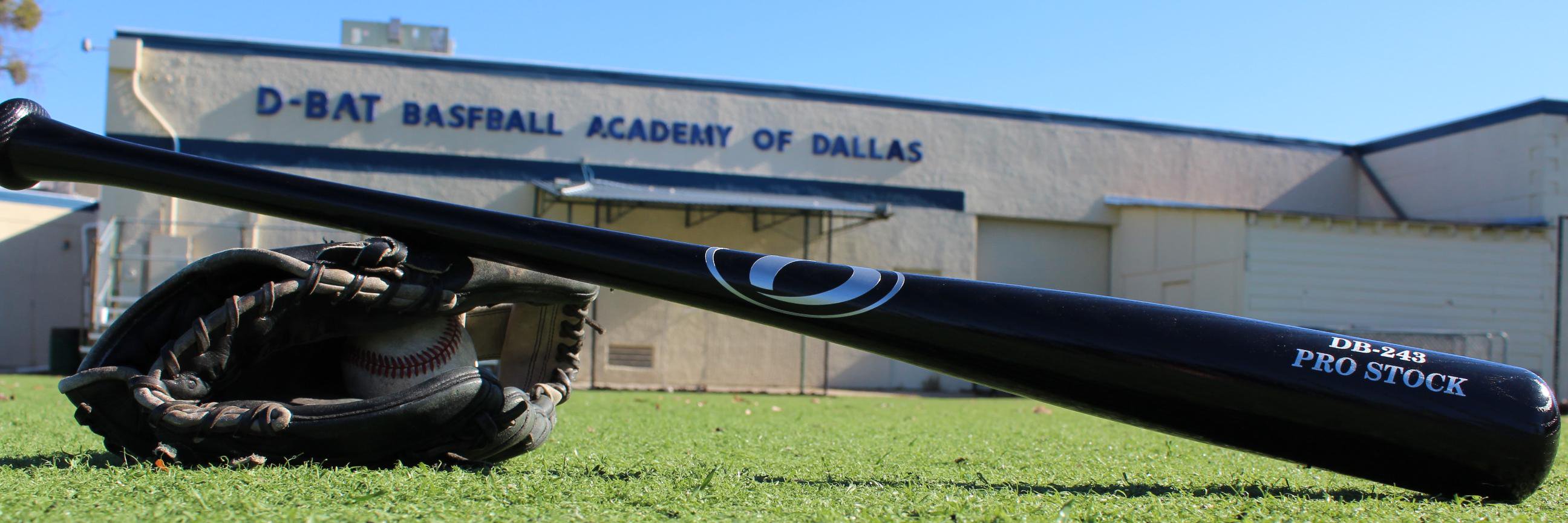 D-BAT Addison banner