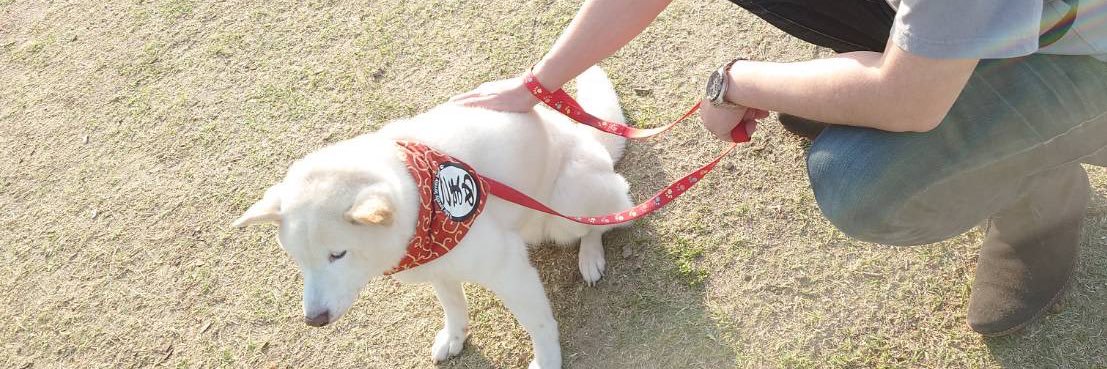 断頭台のえむた banner