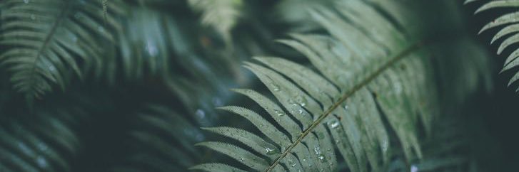 Bry banner