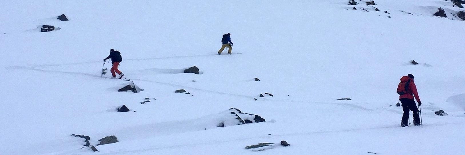 Nich Johansen banner