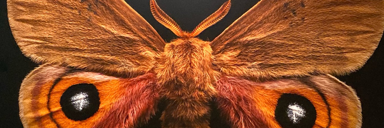 Wonderfully_x's profile banner image