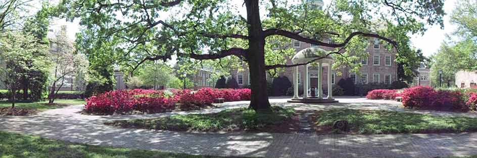 Savannah Putnam banner