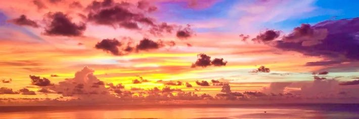 andyrobertwood's profile banner image
