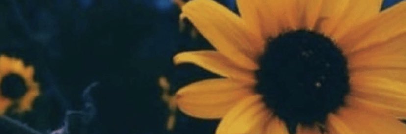 Kat_1545's profile banner image