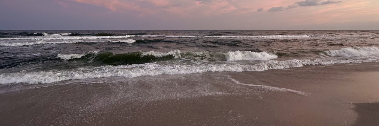 B. banner