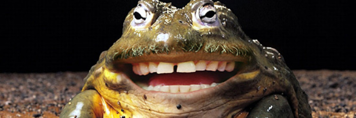 Mrs_Powerplant's profile banner image