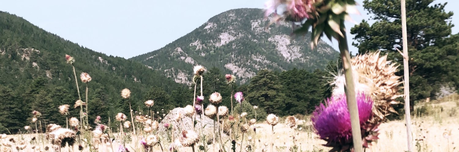 BrePurnell's profile banner image