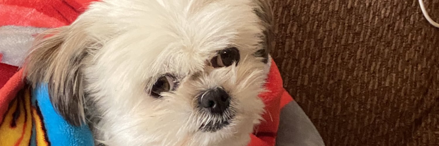 JBryan95's profile banner image