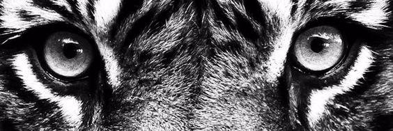 IsabelAlmada's profile banner image