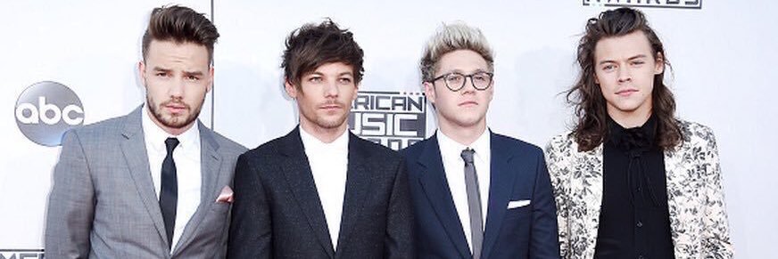 weyheyheynarry's profile banner image