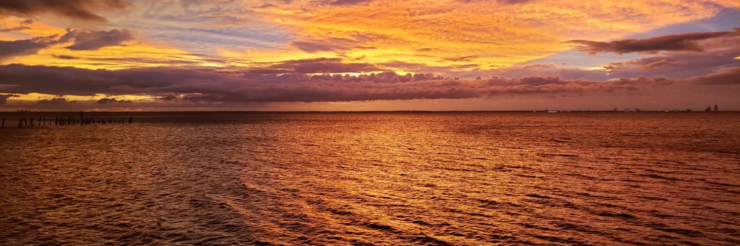 Radarsrhythm's profile banner image