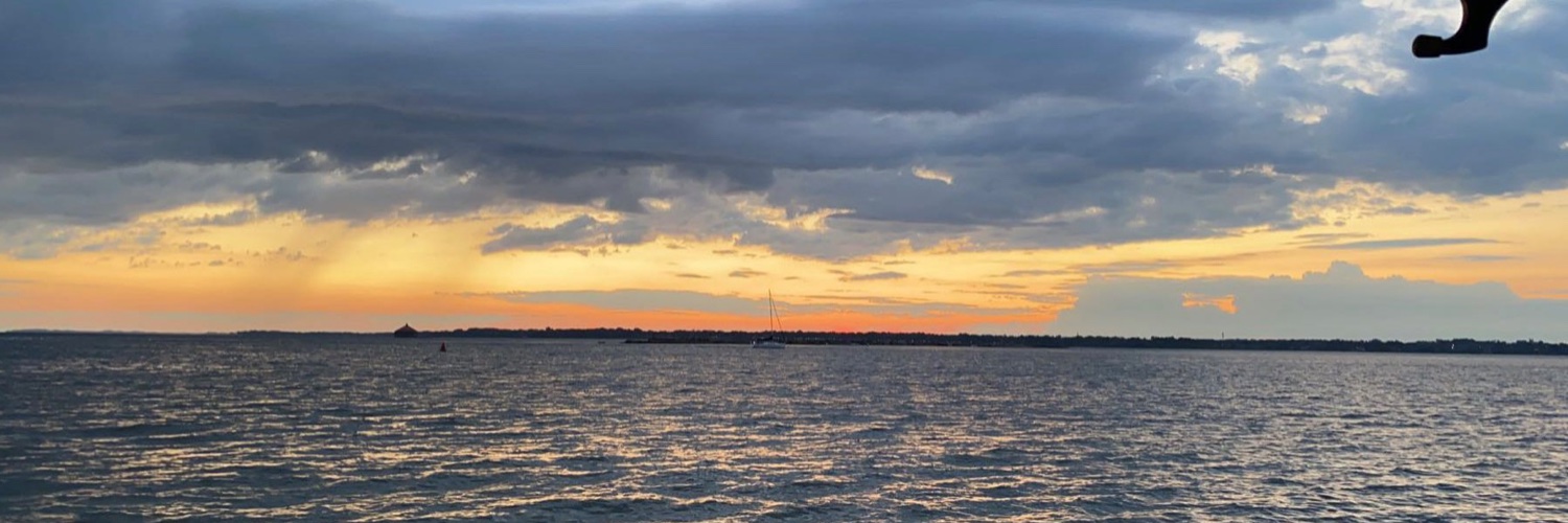 🦋 banner