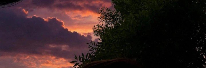 ivoneesg's profile banner image