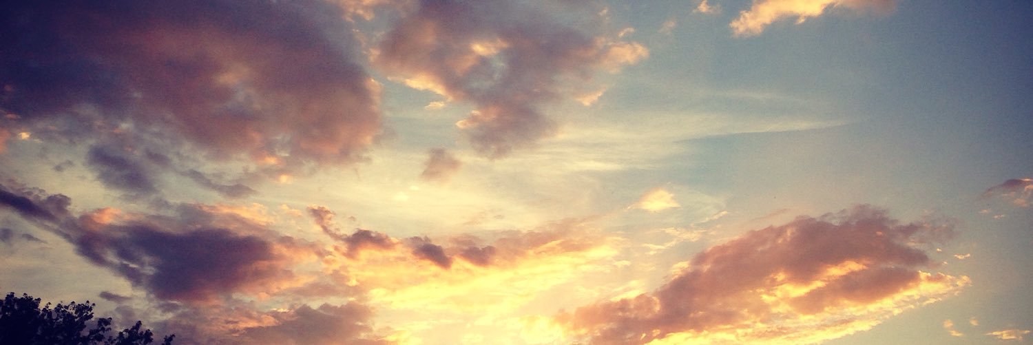 sar_norris's profile banner image