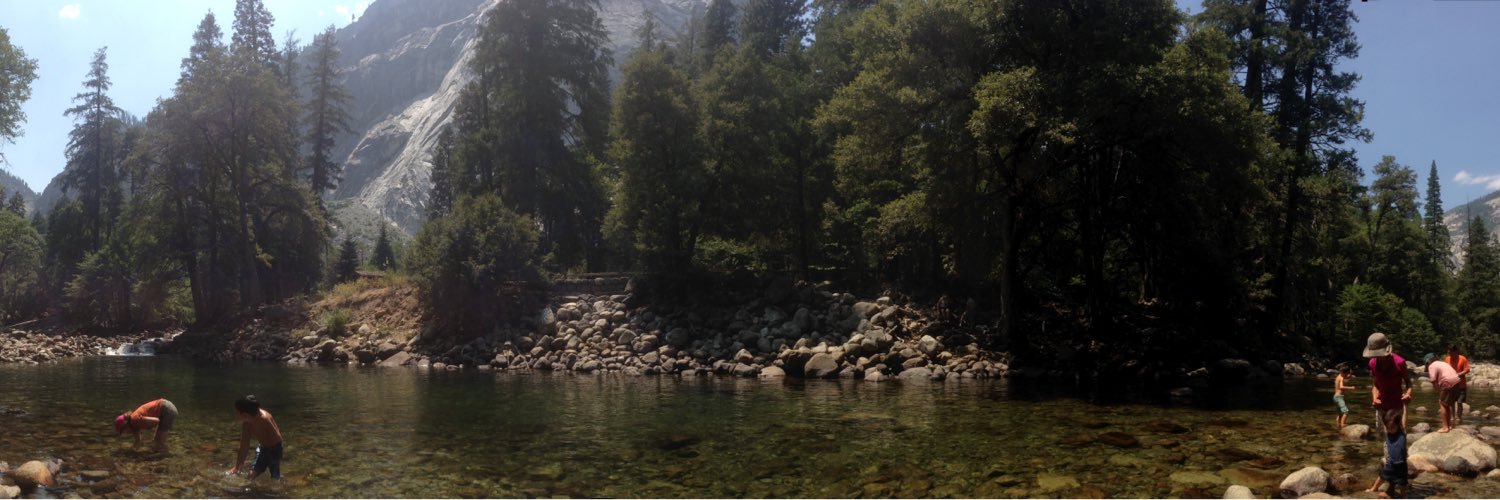 Michael Walker banner