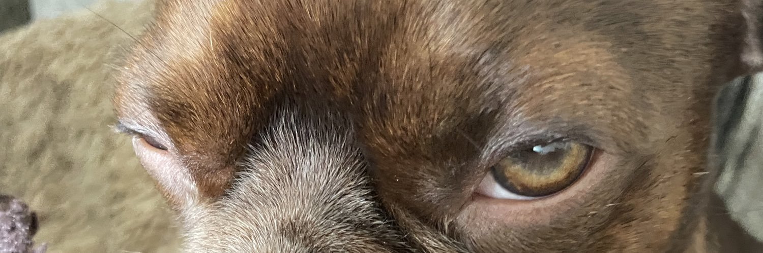 irisbenitezz's profile banner image