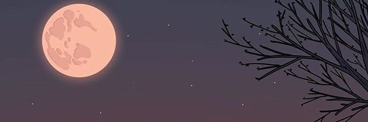 Sallesl's profile banner image