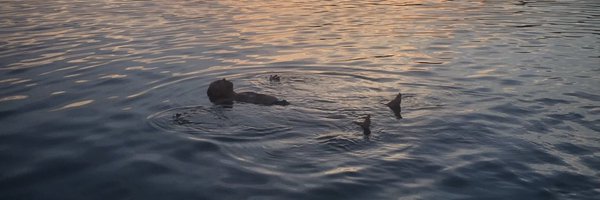 MatthewHaasky Profile Banner