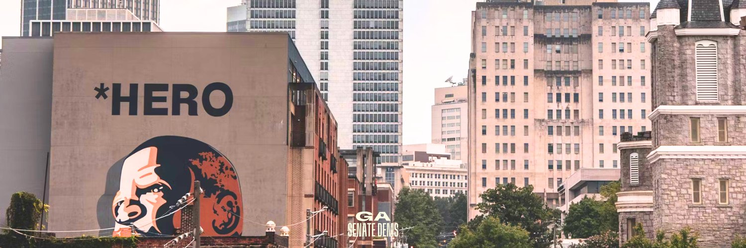 GASenateDems's profile banner image