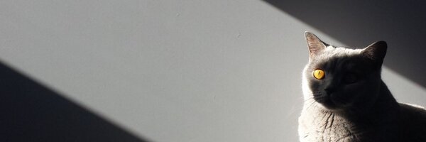 RowanJones_ Profile Banner