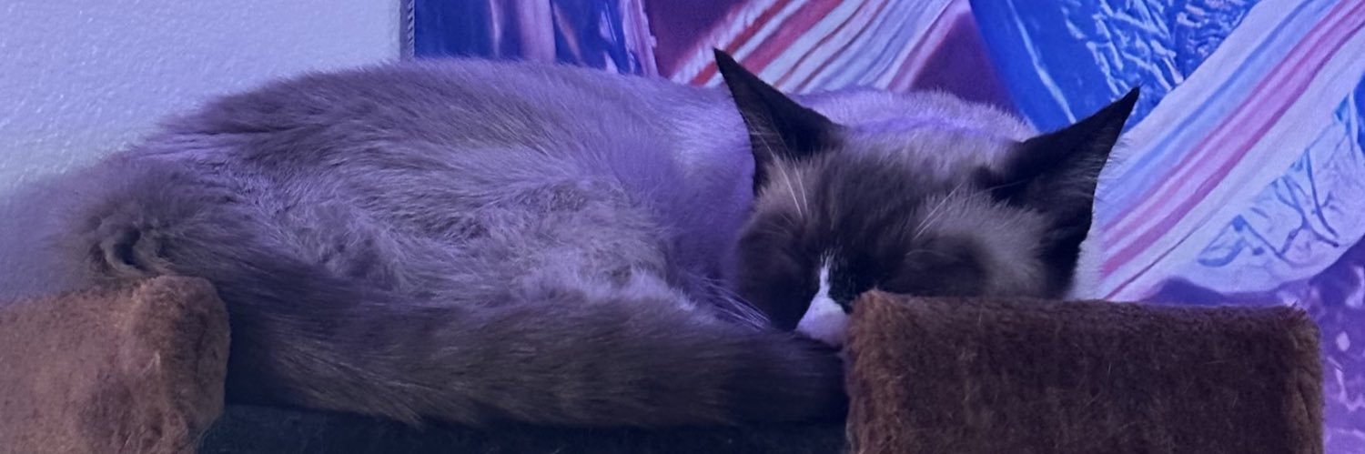 JarretStreams's profile banner image