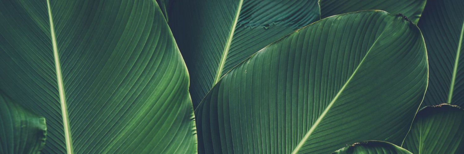 theanthrotorian's profile banner image