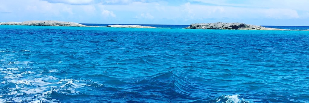 Lyle Nicholson banner