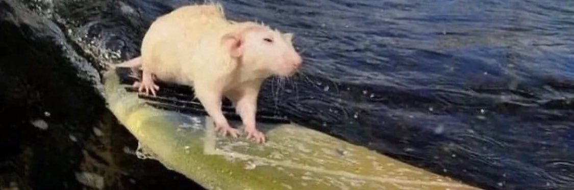 queergothanime's profile banner image