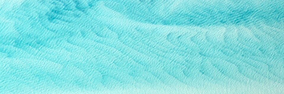 anna pitossi banner