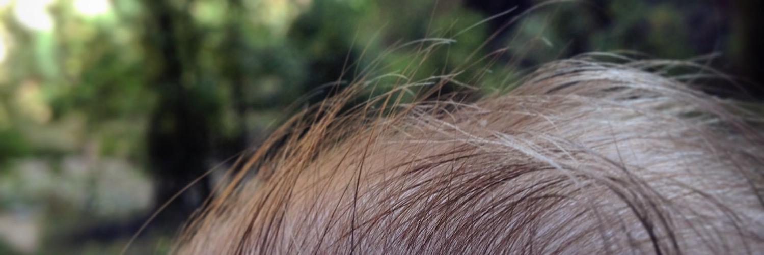 BlindCarpenter's profile banner image