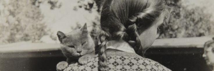 beatrice banner