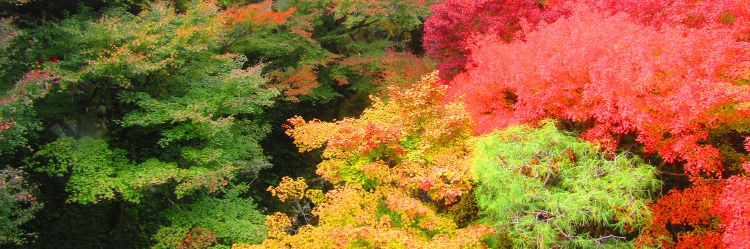 かずとも banner