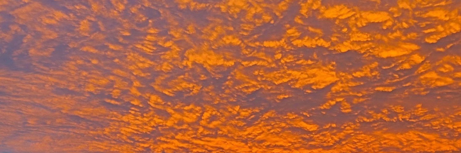 FranklinStacey's profile banner image