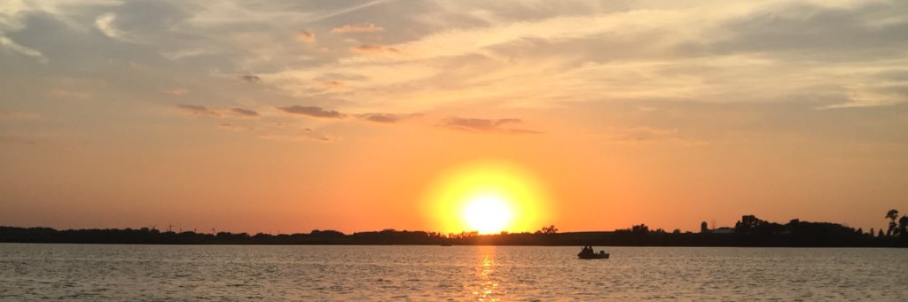 Alyssa Maiers banner