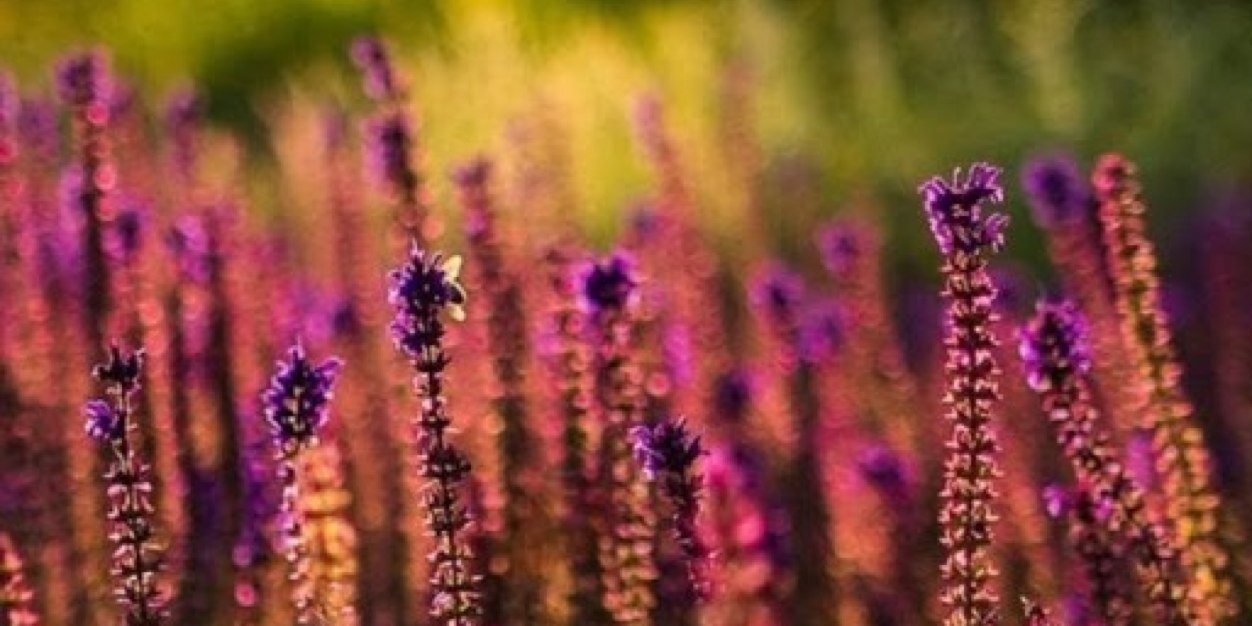 2BSKM banner