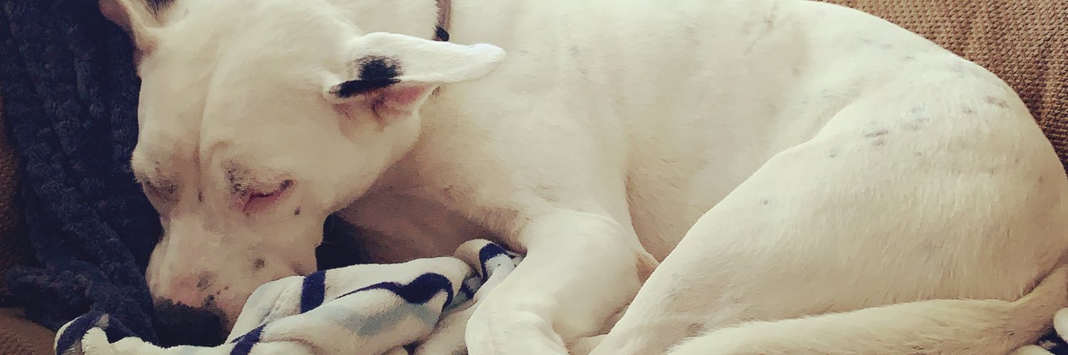 leslieee417's profile banner image