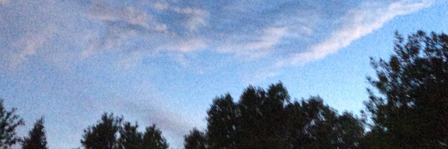 BJBjorklund's profile banner image