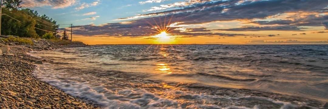 Freedom Over Fear banner