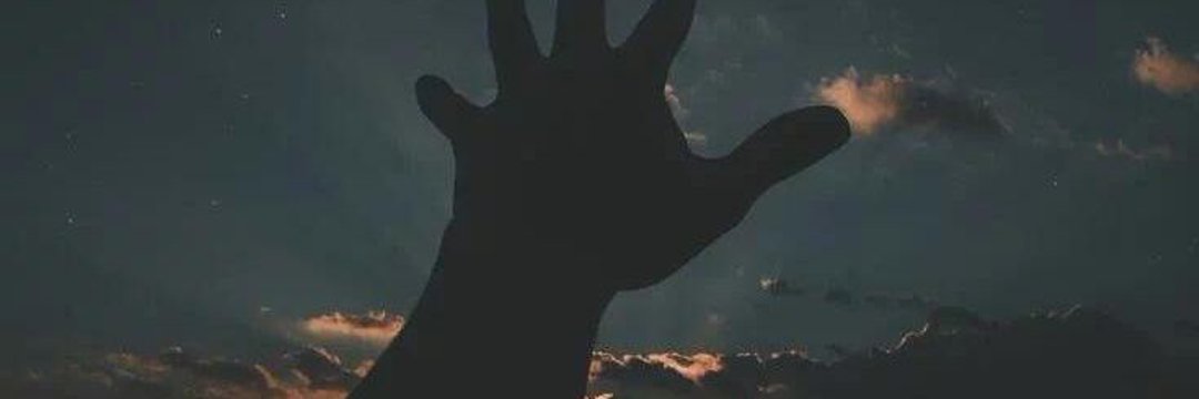 CharkCharles's profile banner image