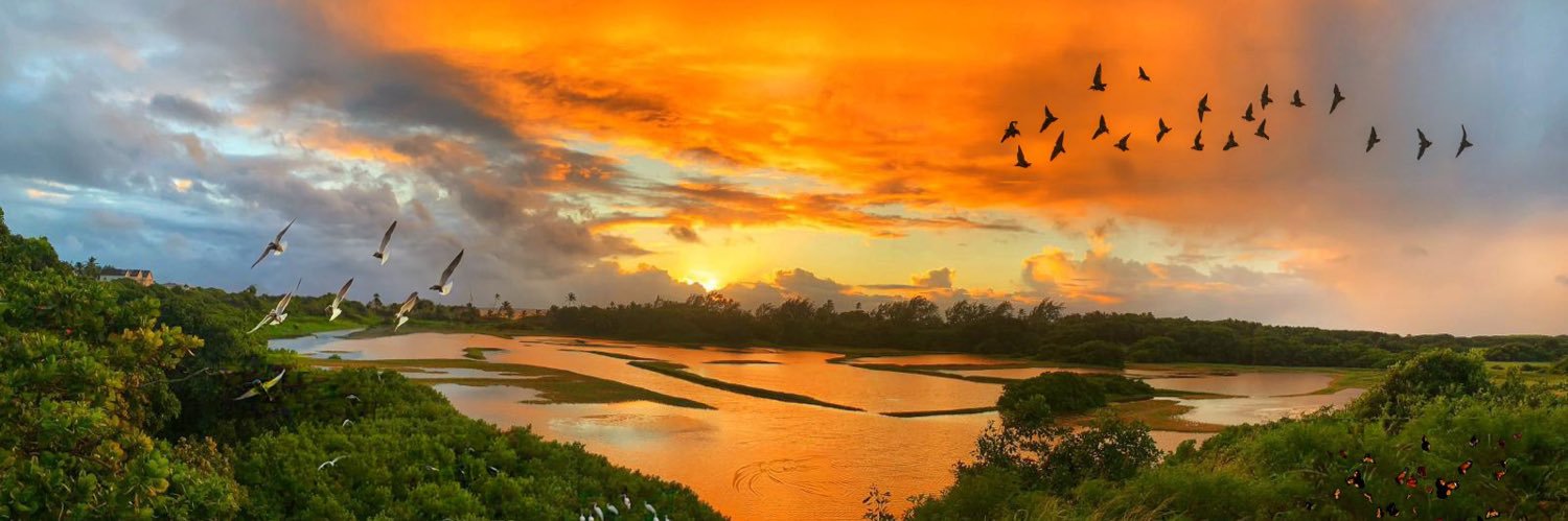 Inclement Payne banner