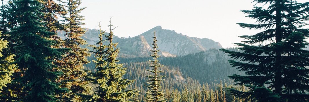 AshleyHack18's profile banner image